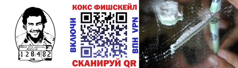 дарнет шоп  Курлово  COCAIN Columbia 
