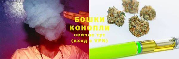 молекула духа Наволоки
