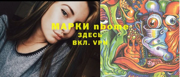 индика Михайлов