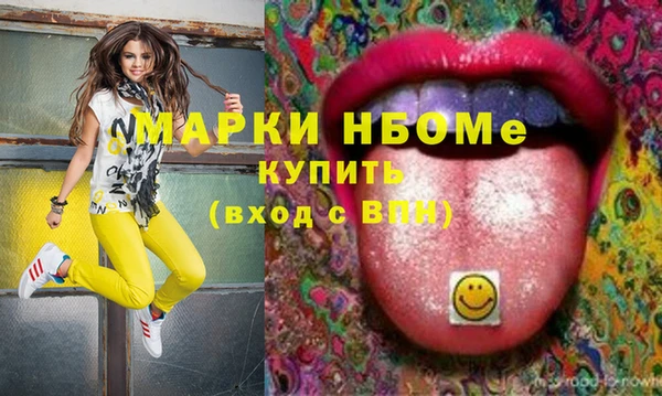 индика Михайлов