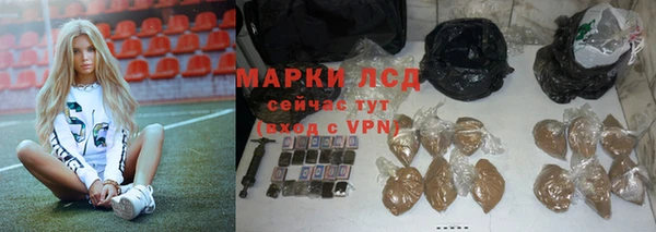 индика Михайлов